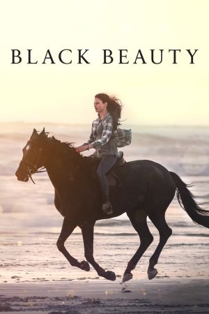 Black Beauty kinox