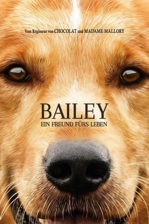 Bailey – Ein Freund fürs Leben kinox