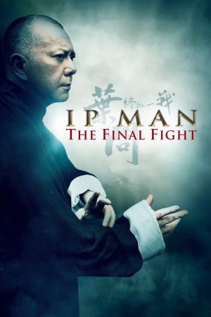 Ip Man - Final Fight kinox