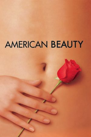 American Beauty kinox
