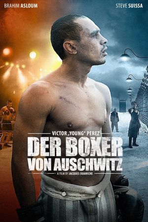 Der Boxer von Auschwitz kinox