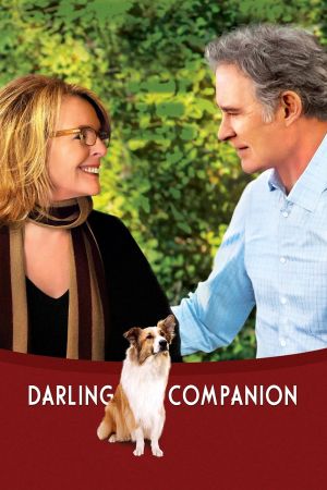 Darling Companion – Ein Hund fürs Leben kinox