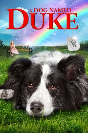 Ein Hund namens Duke kinox