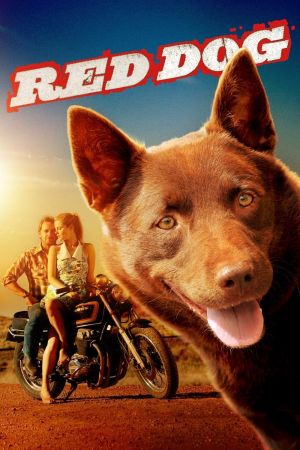 Red Dog kinox