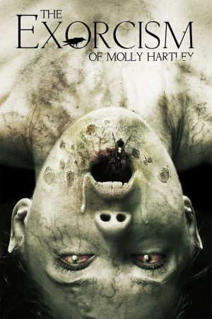 Molly Hartley 2 - Der Exorzismus kinox