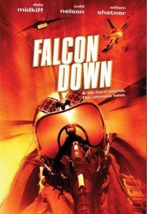 Falcon Down - Todesflug ins Eismeer kinox