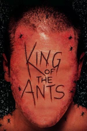 King of the Ants kinox