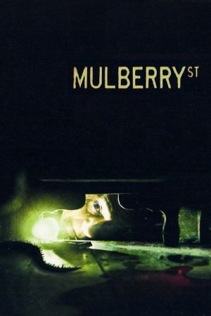 Mulberry Street kinox