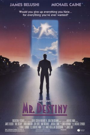 Mr. Destiny kinox