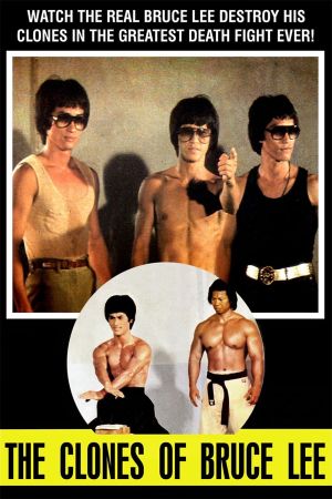 Bruce Lee - Seine Erben nehmen Rache kinox