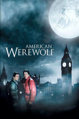 American Werewolf kinox