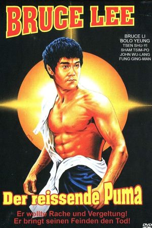 Bruce Lee - Der reißende Puma kinox