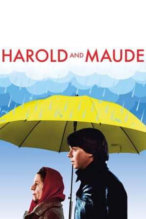Harold und Maude kinox