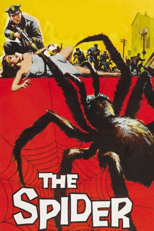 Die Rache der schwarzen Spinne kinox