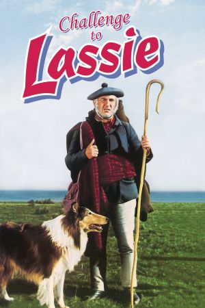 Lassie in Not kinox