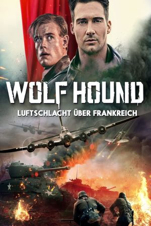 Wolf Hound kinox