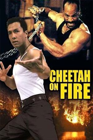 Cheetah on Fire kinox