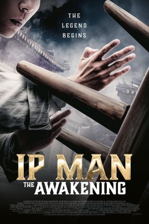 Ip Man: The Awakening kinox