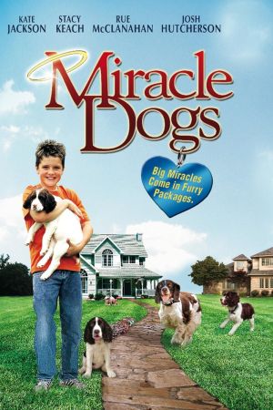 Miracle Dogs kinox