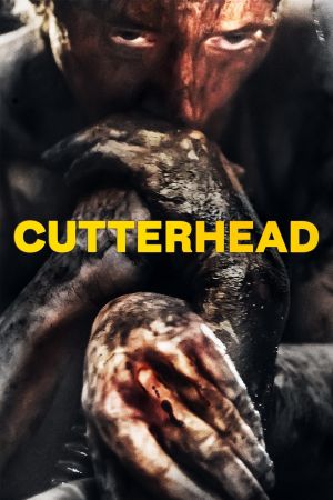Cutterhead kinox