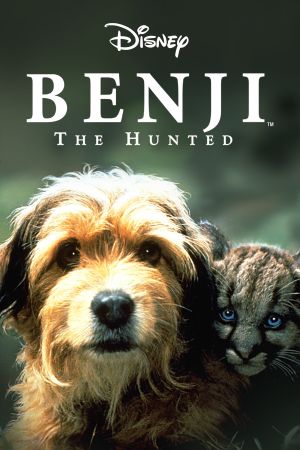 Benji, sein größtes Abenteuer kinox